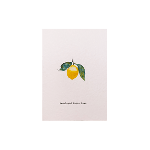 Celtic Herbal x Folded London Welsh Language Greeting Cards - Penblwydd Hapus Iwan